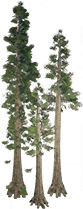 1686613557583.png