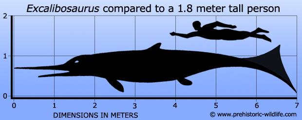 1687048223202.png