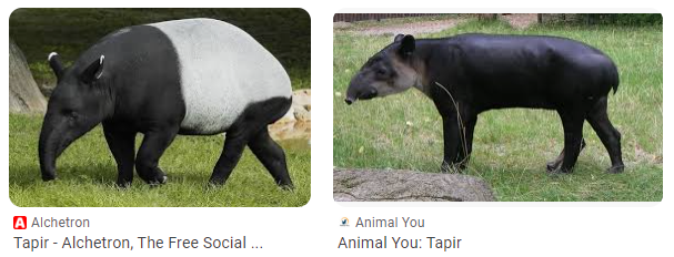 1687376732322.png