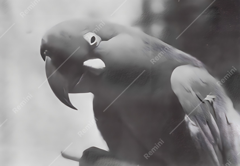 1687595871796.png