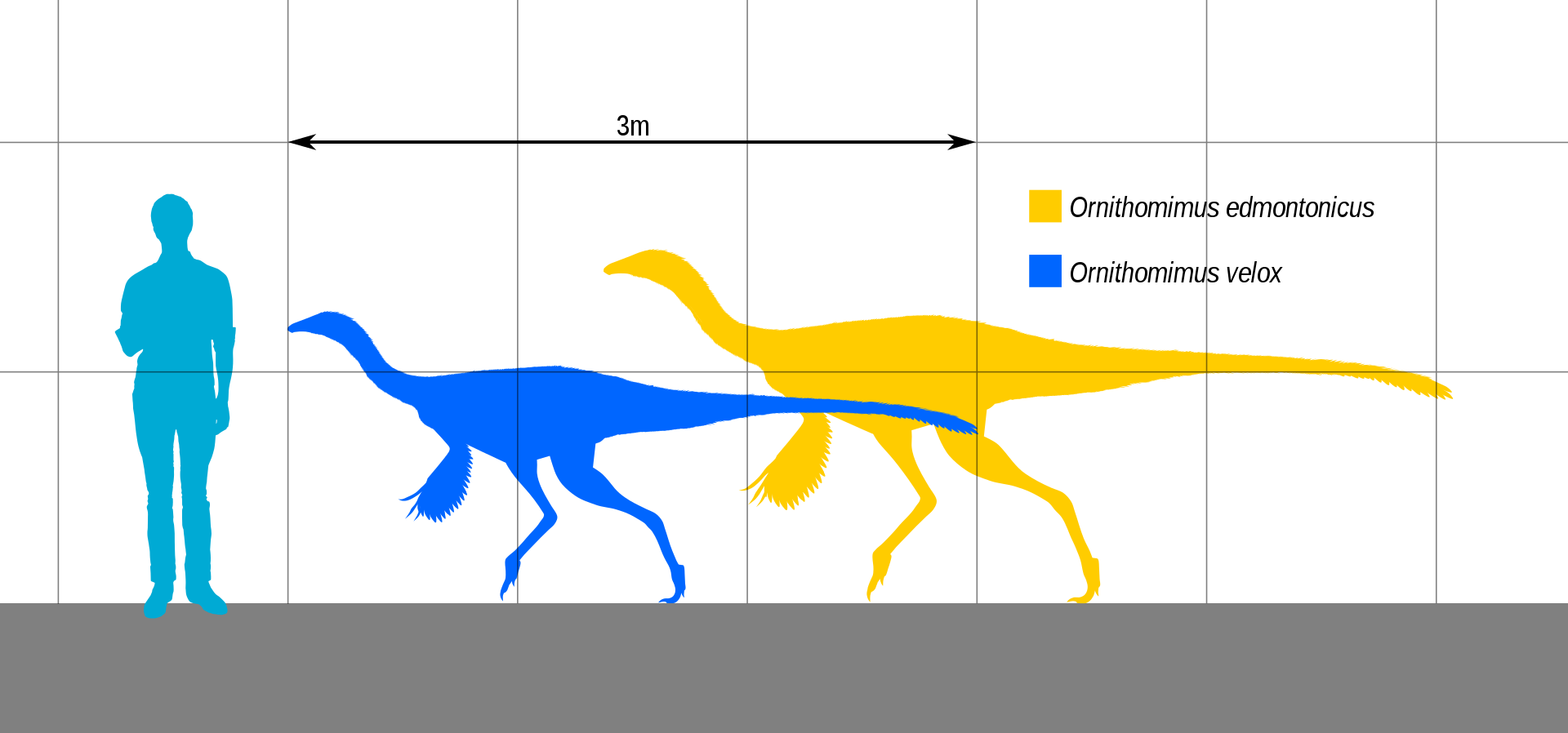 1688000683318.png