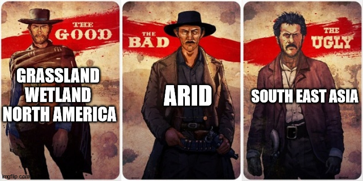 1691113768482.png