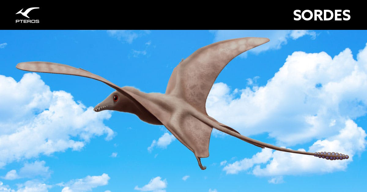 1692921359673.png