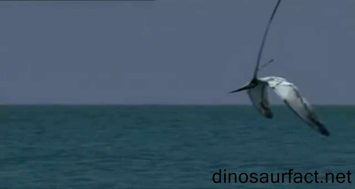 1692921461230.png