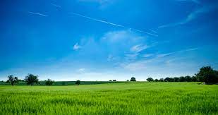 Grassland Photos, Download The BEST Free Grassland Stock Photos & HD Images
