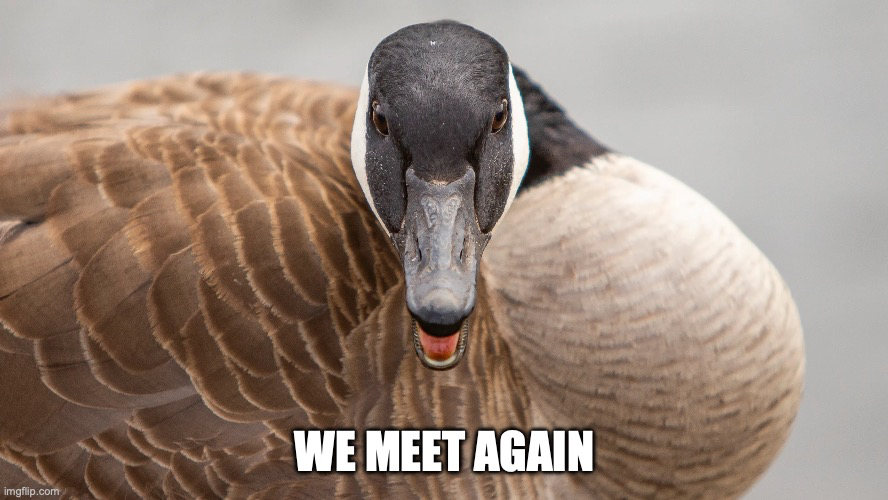 1694308522161.png