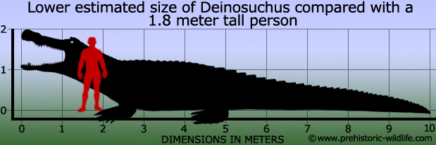 1694398022793.png