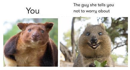 1694451784027.png