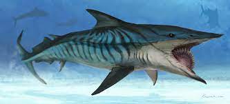 The helicoprion was a prehistoric shark-like fish that had its teeth in the  center of its mouth in a spiral called a tooth whorl, resembling a  circular saw. : r/Damnthatsinteresting