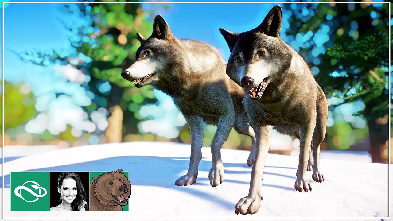1695993147361.jpeg