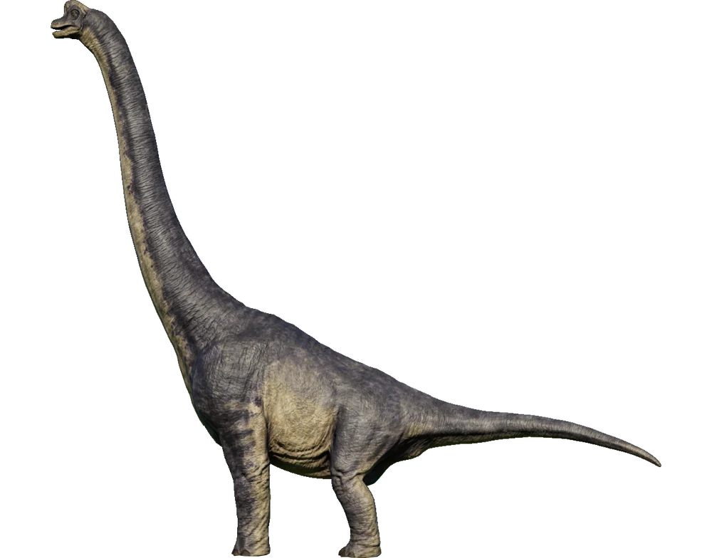 1696393500072.png