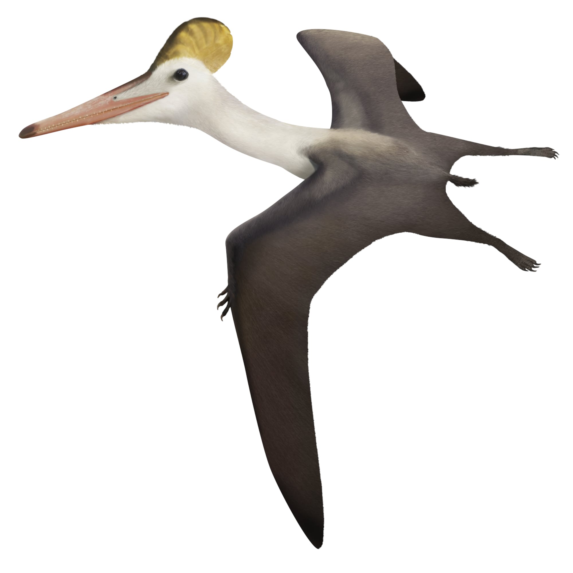 1696468384456.png