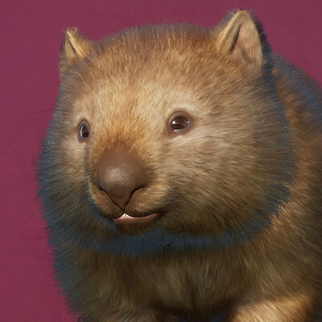 1700275254187.png