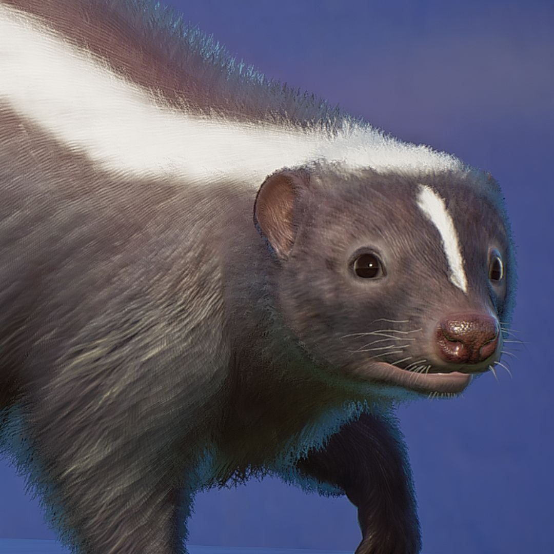 1700275437687.png