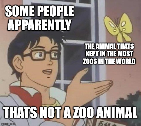 1700317236548.jpeg