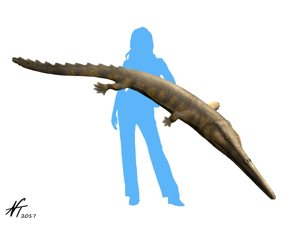1701382652682.png