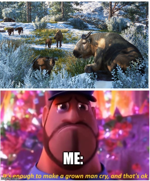 1701794516735.png