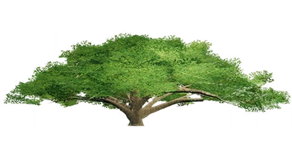 1701922664537.png