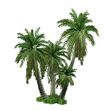 1701922776526.png