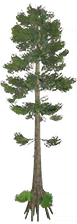 1701922857950.png