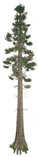 1701922881109.png