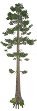 1701922913894.png