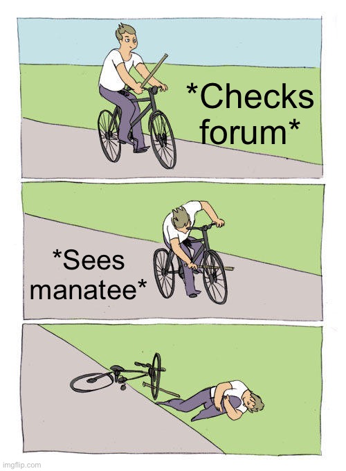 1702598460319.jpeg