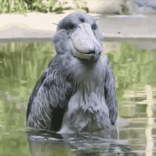 1703708570334.gif