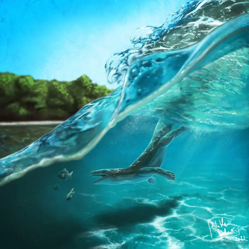 1704849415377.png
