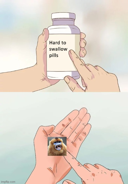 1705438695992.png