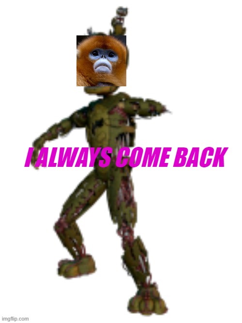 1708567761825.jpeg