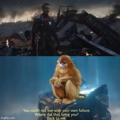 1708569886102.png