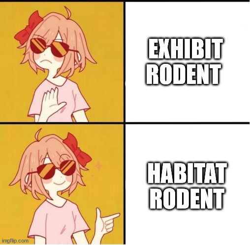 1710177673411.jpeg