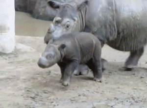 1713509278056.gif