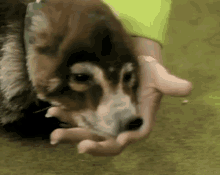 1713513460357.gif