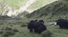 1714598133191.gif