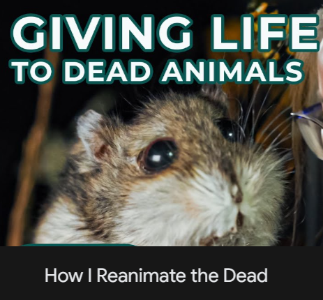 1715096538233.png