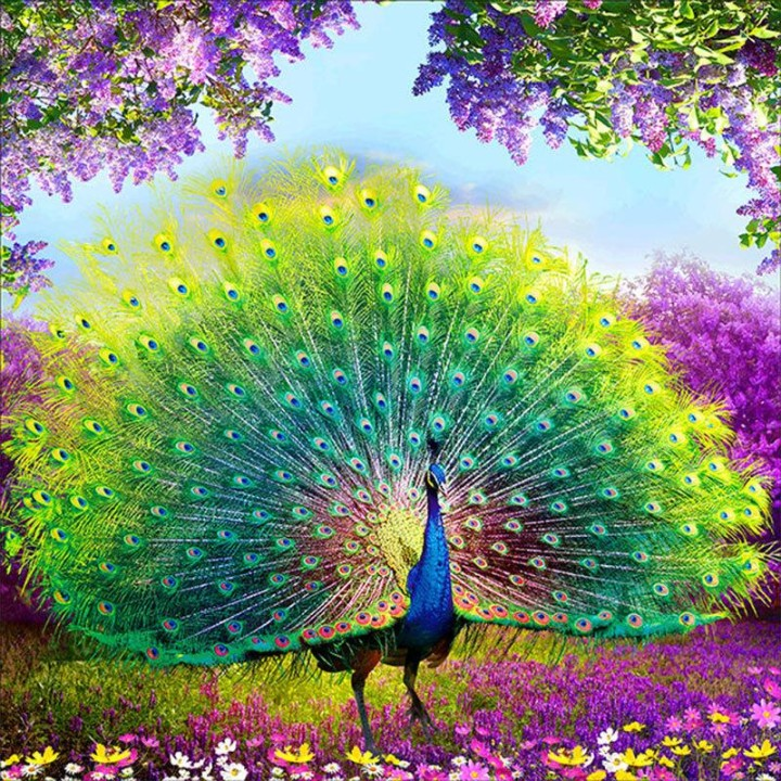 1716301650567.png