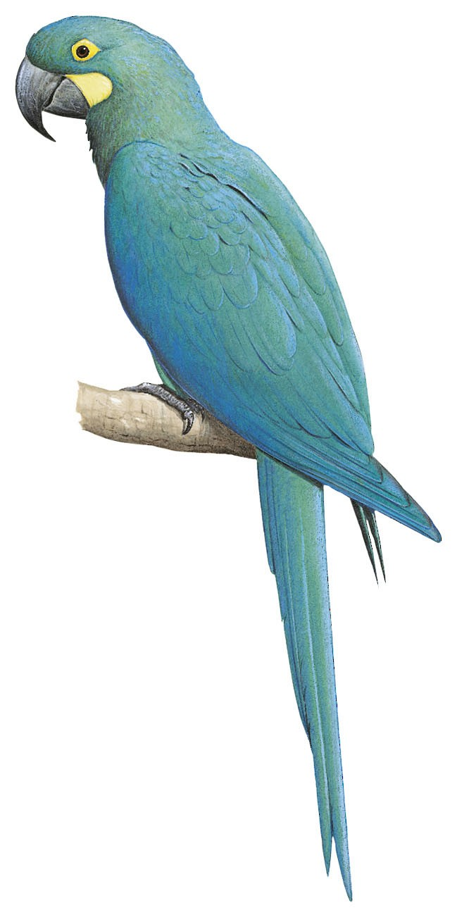 1718631827195.png