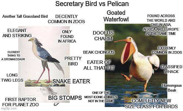 1719045921286.jpeg