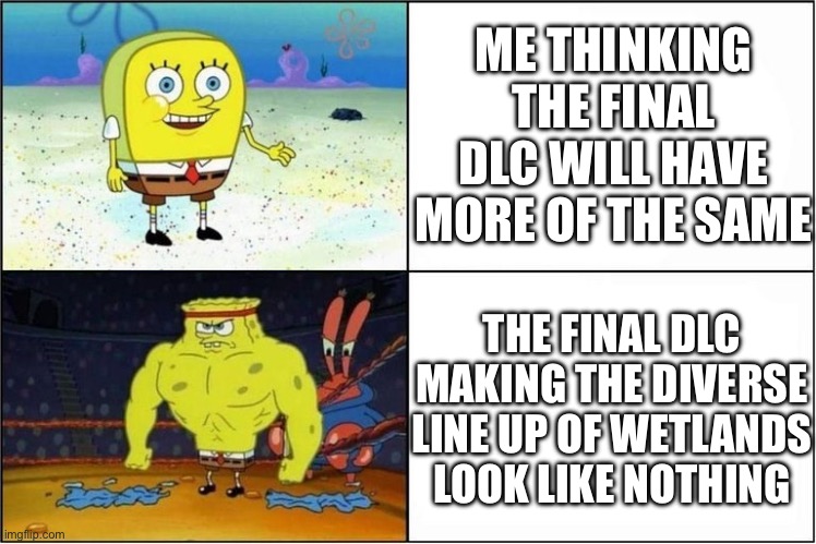 1719067561376.jpeg
