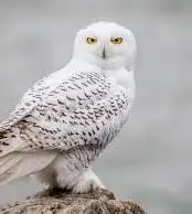 1720029938883.png