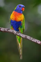 1720029958850.png
