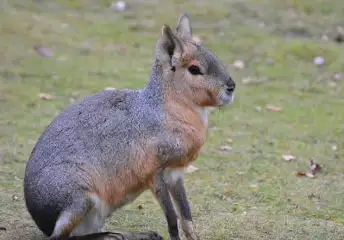 1720189328728.png