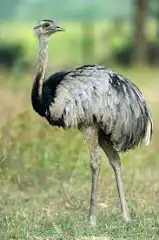 1720189345953.png
