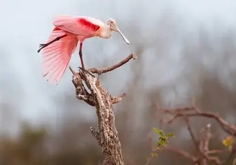 1720189429406.png