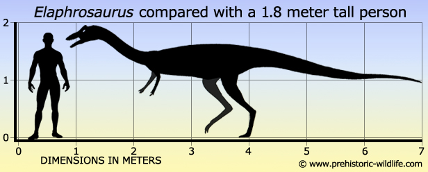 1722446054423.png