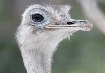 1722789316812.png