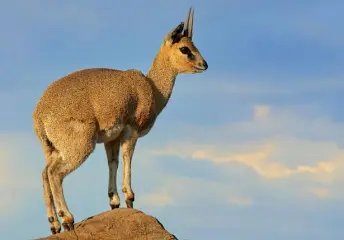 1725547781404.png