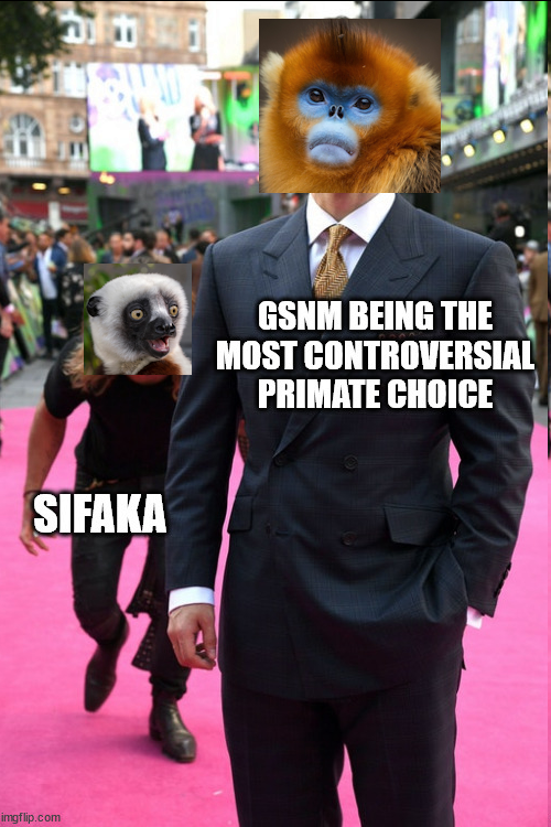 1726775066350.png